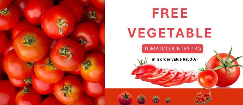 GDR FOODS & SPICES promo