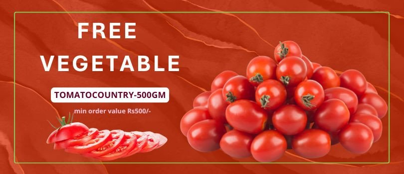 GDR FOODS & SPICES promo