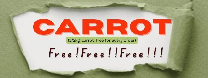 GDR FOODS & SPICES promo