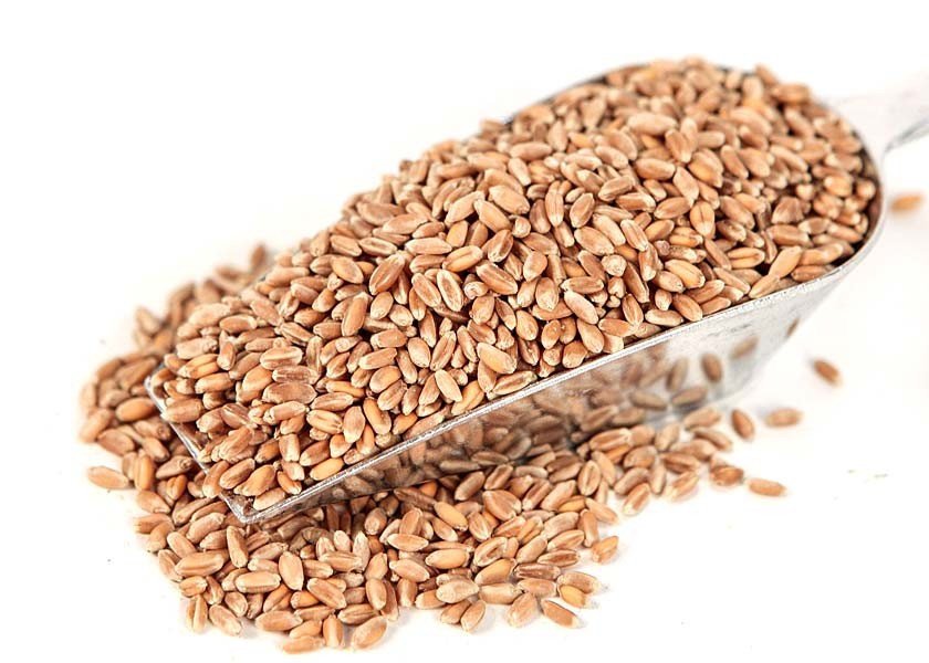 Grains